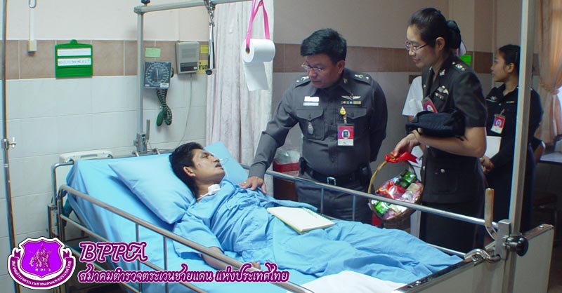 ผลงานของสมาคม