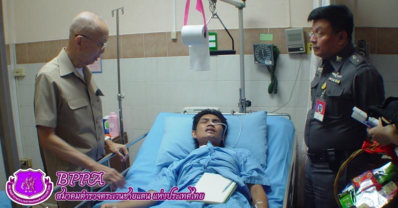 ผลงานของสมาคม