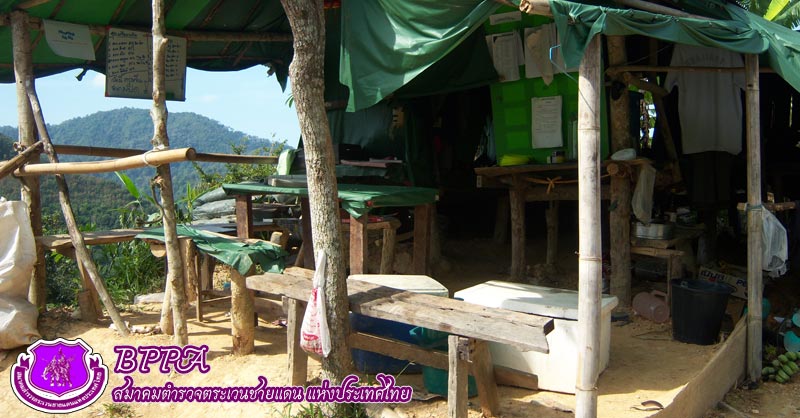 ผลงานของสมาคม